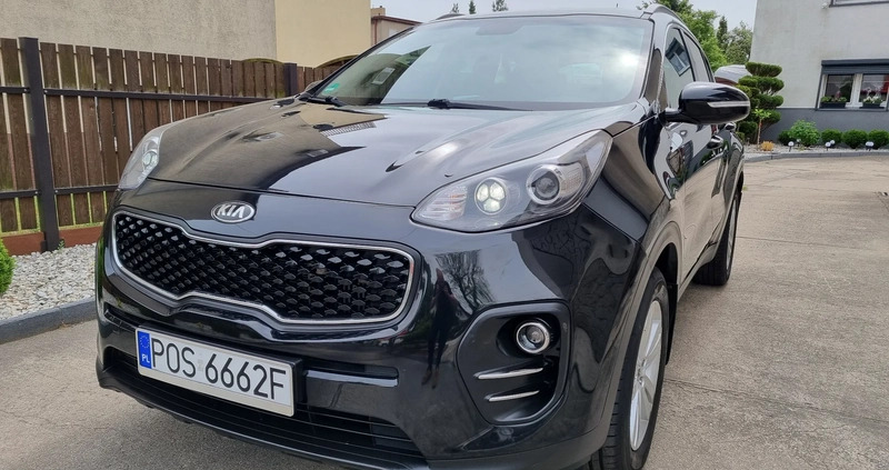 Kia Sportage cena 62900 przebieg: 233000, rok produkcji 2016 z Wojkowice małe 106